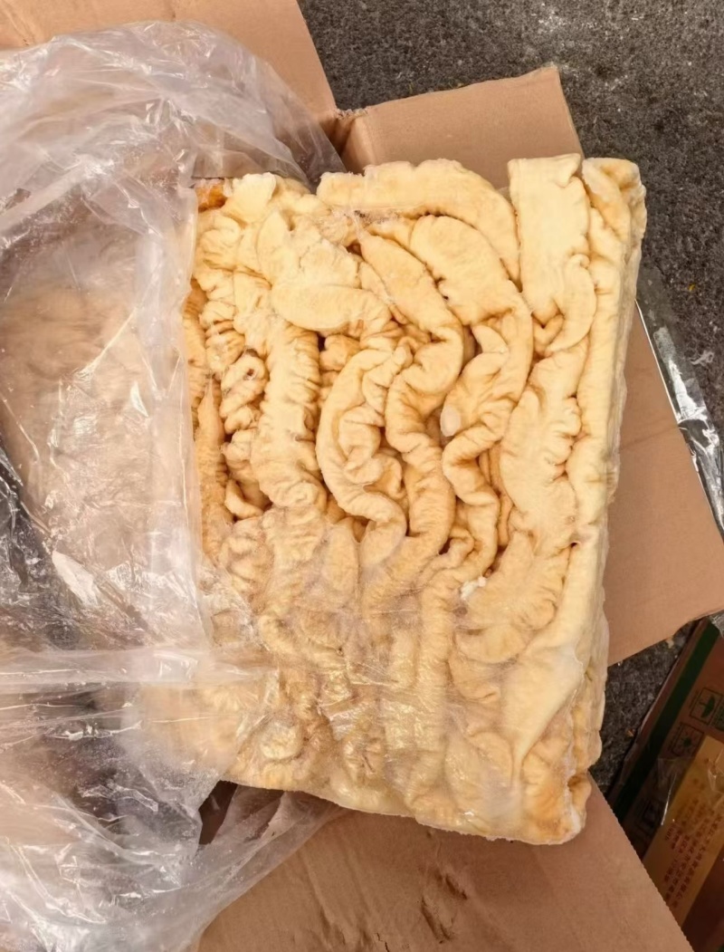 预煮大肠所有店都可用