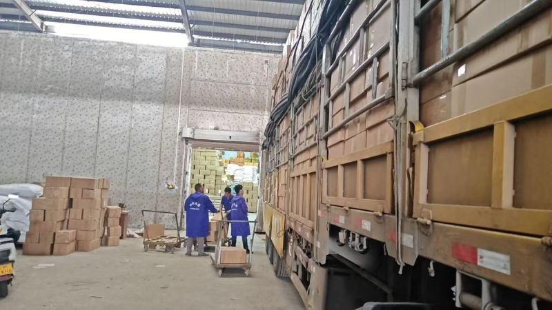 花茶专用桂圆肉广西博白桂圆肉石硖桂圆肉龙眼肉