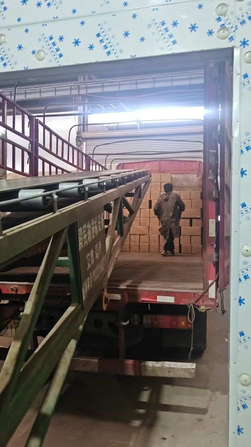 花茶专用桂圆肉广西博白桂圆肉石硖桂圆肉龙眼肉