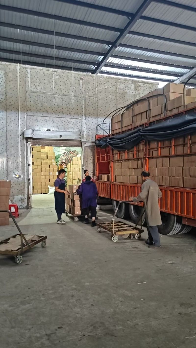 花茶专用桂圆肉广西博白桂圆肉石硖桂圆肉龙眼肉