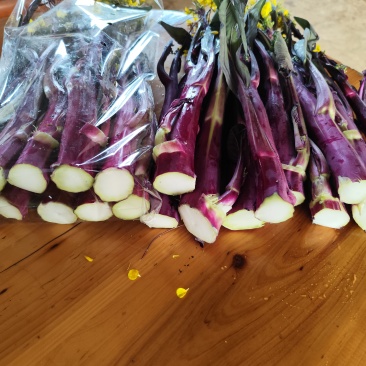 武汉特色产品洪山菜苔紫菜苔自有农场保障供应