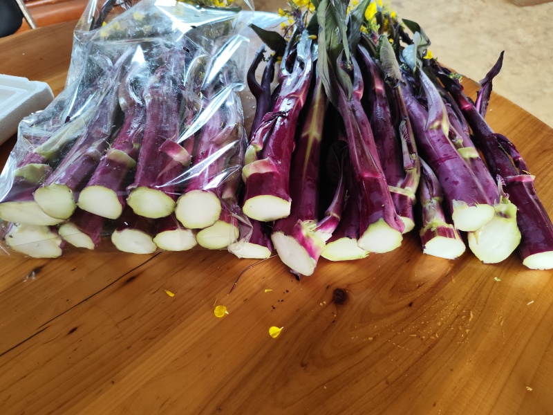 武汉特色产品洪山菜苔紫菜苔自有农场保障供应