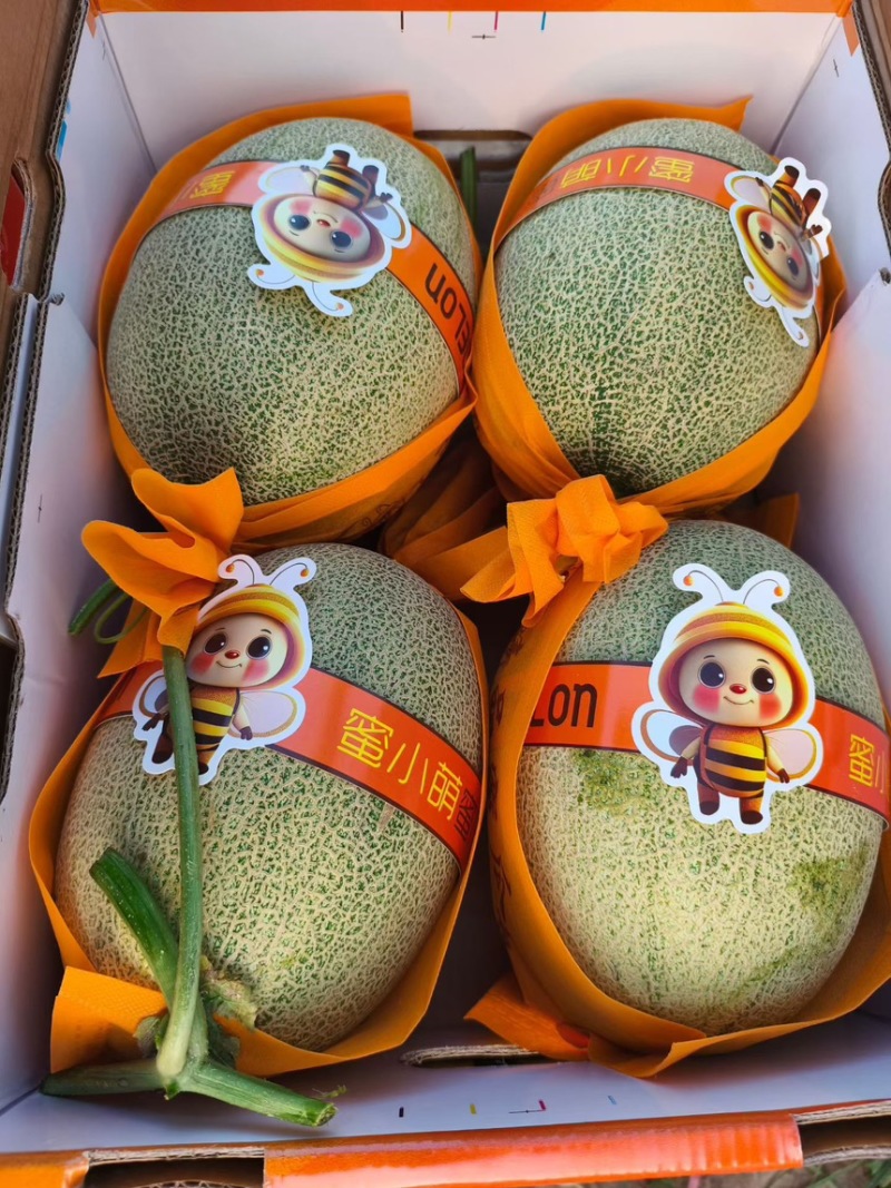 大量小蜜供应北海产区