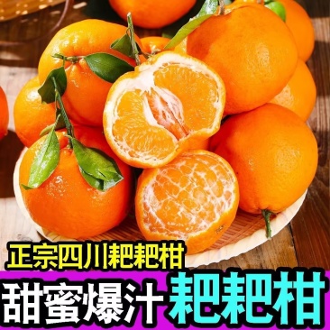 耙耙柑《专业代办〉另外承接整车全包发车，对接平台-商超