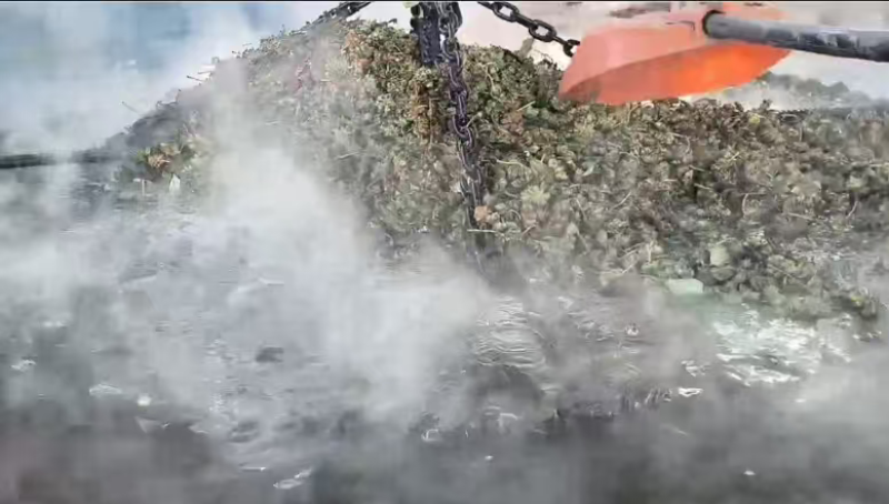 广西古龙大红八角，价格有低中高，一件也是批发价，代发物流