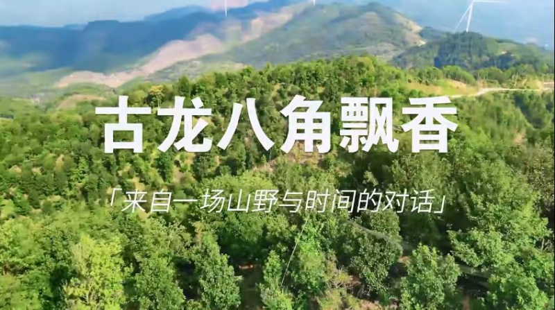 广西古龙大红八角，价格有低中高，一件也是批发价，代发物流