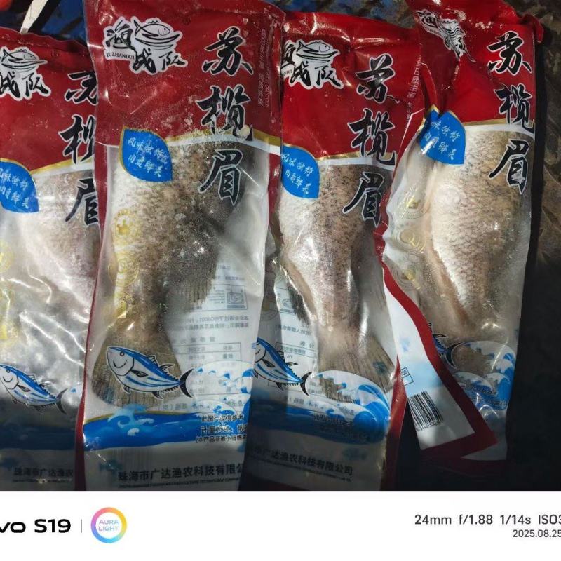 苏榄眉鱼