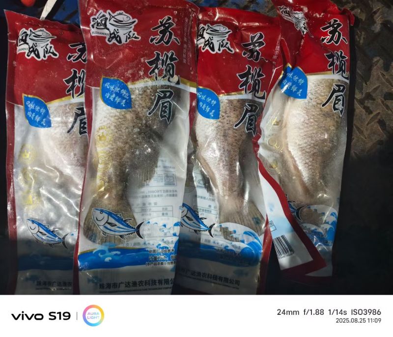 苏榄眉鱼