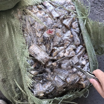 带鱼肚段，破腹段饲料