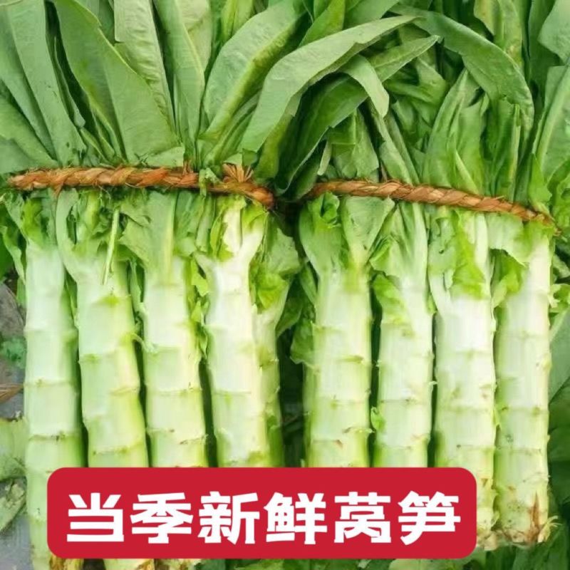 【三青莴笋批发】产地直供鲜嫩清脆大量现货价格优惠