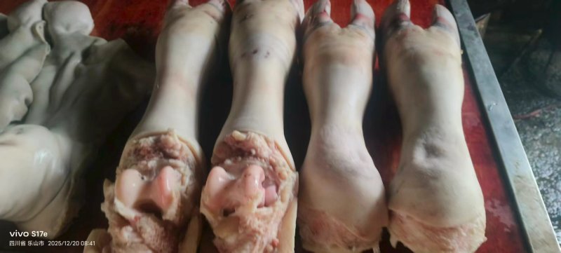 生牛蹄大量供应中对接市场档口量大从优品质保证欢迎来电