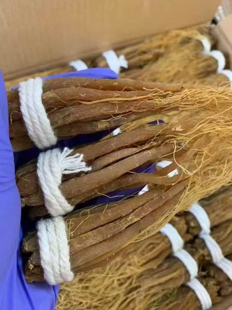 纯正无糖高龄红参须批发零售电商一件代发