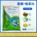 中保阿泰灵6%寡糖链蛋白番茄烟草水稻病毒病西瓜枯萎病白菜