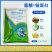 中保阿泰灵6%寡糖链蛋白番茄烟草水稻病毒病西瓜枯萎病白菜
