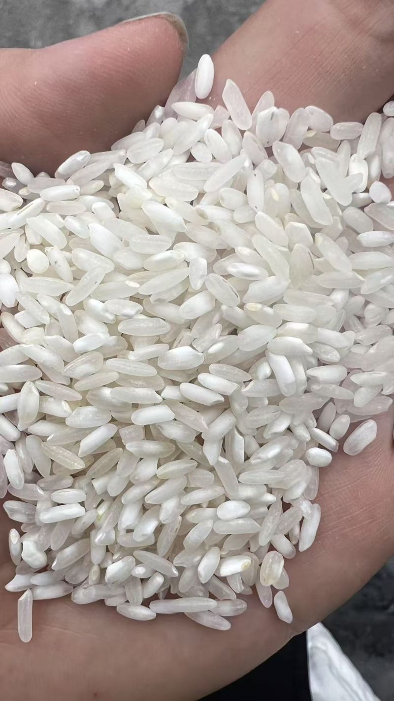 陈杂交大米，食堂饭店炒饭专用、粉专用
