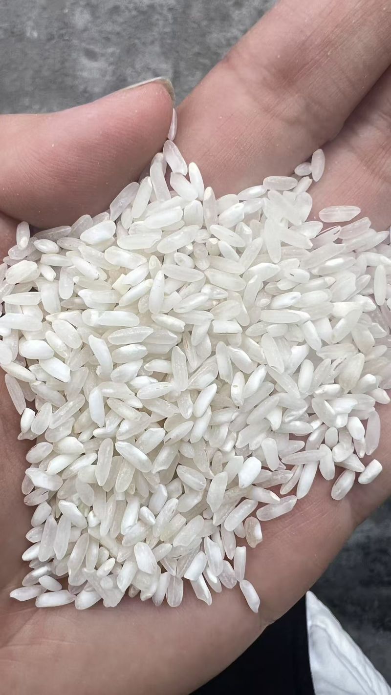 陈杂交大米，食堂饭店炒饭专用、粉专用