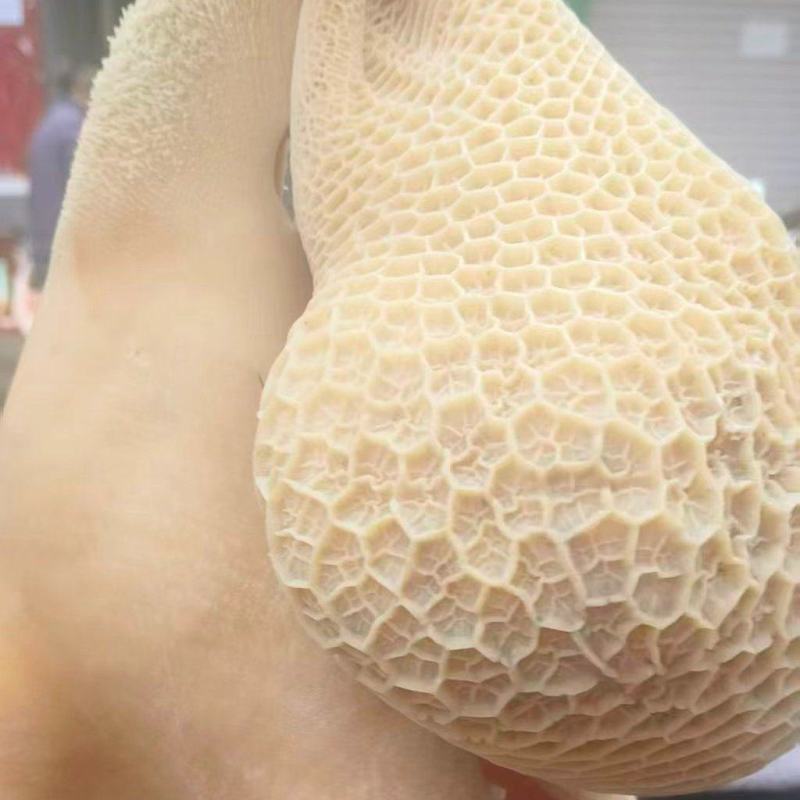 生牛肚大量供应中对接市场档口量大从优欢迎老板来电咨询订购