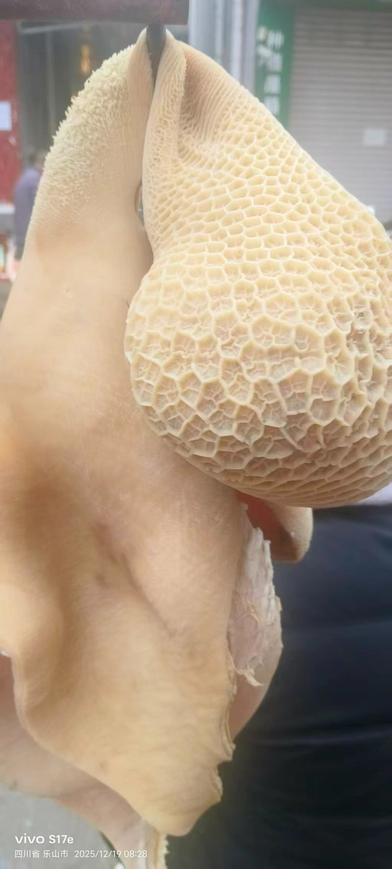 生牛肚大量供应中对接市场档口量大从优欢迎老板来电咨询订购