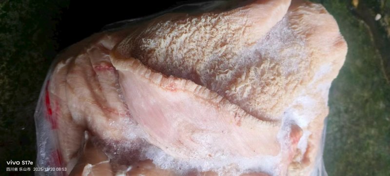生牛肚大量供应中对接市场档口量大从优欢迎老板来电咨询订购