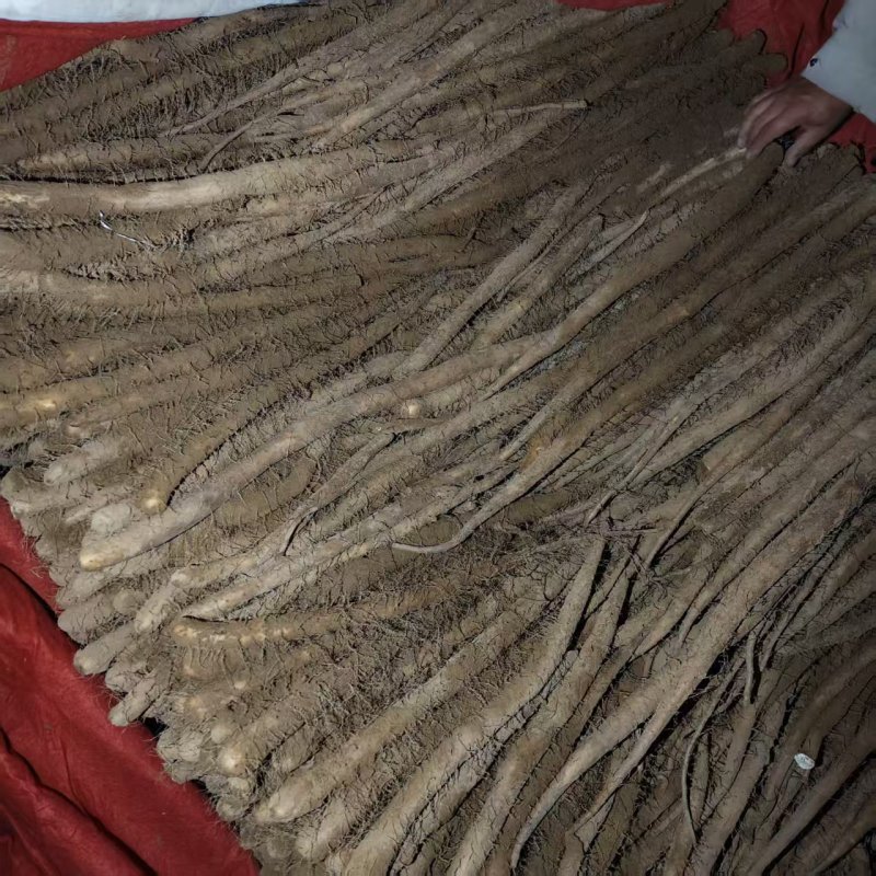 白玉二货