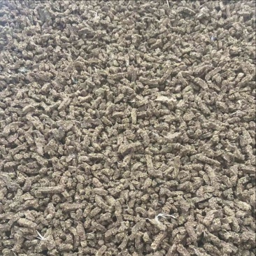 未经发酵的热泵烘干鸡粪干