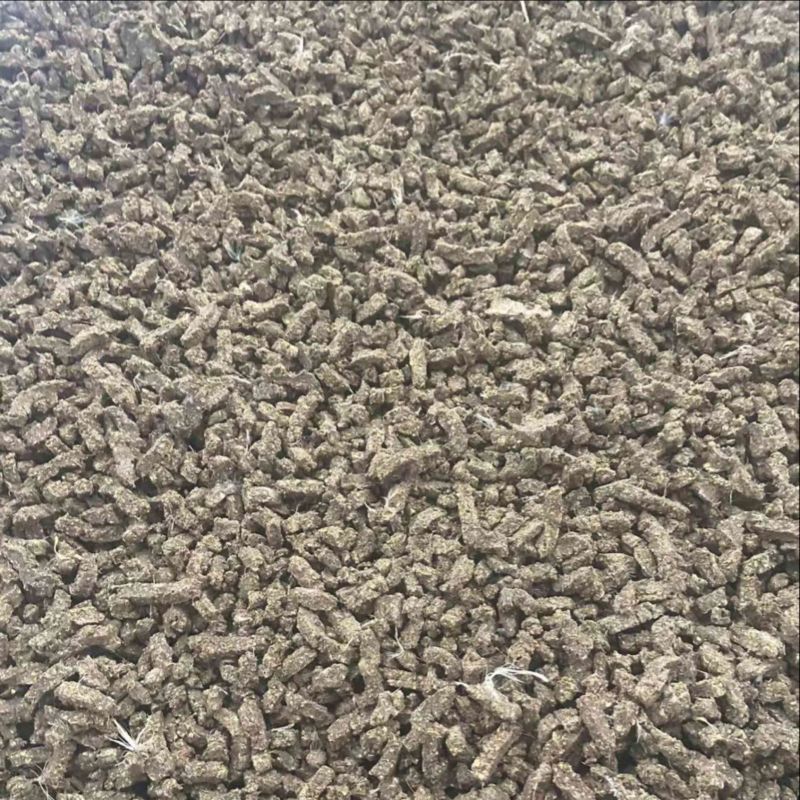 未经发酵的热泵烘干鸡粪干
