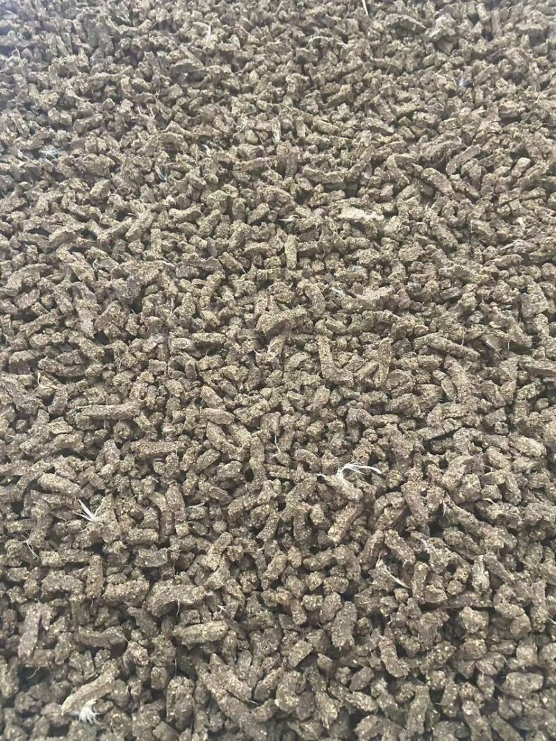 未经发酵的热泵烘干鸡粪干