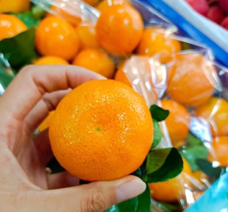 【热卖】广西沙糖桔精品砂糖橘货源充足实力代发全国商