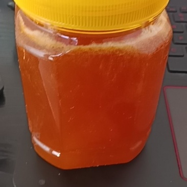 贵州山里家养蜂蜜