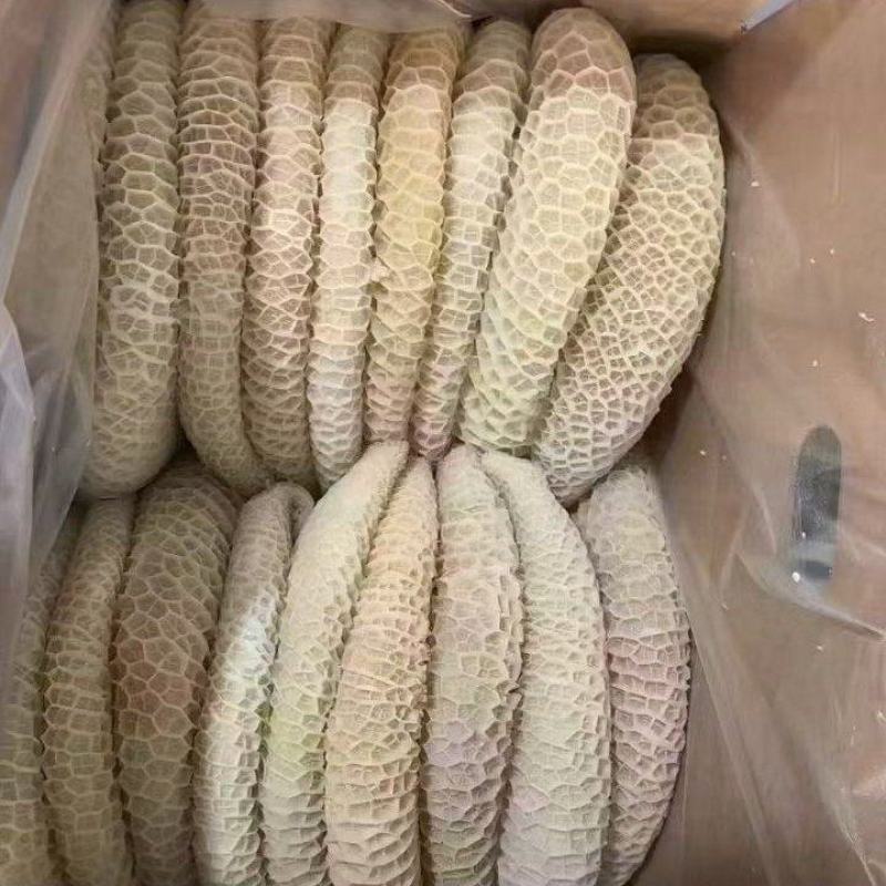 纯干金钱肚