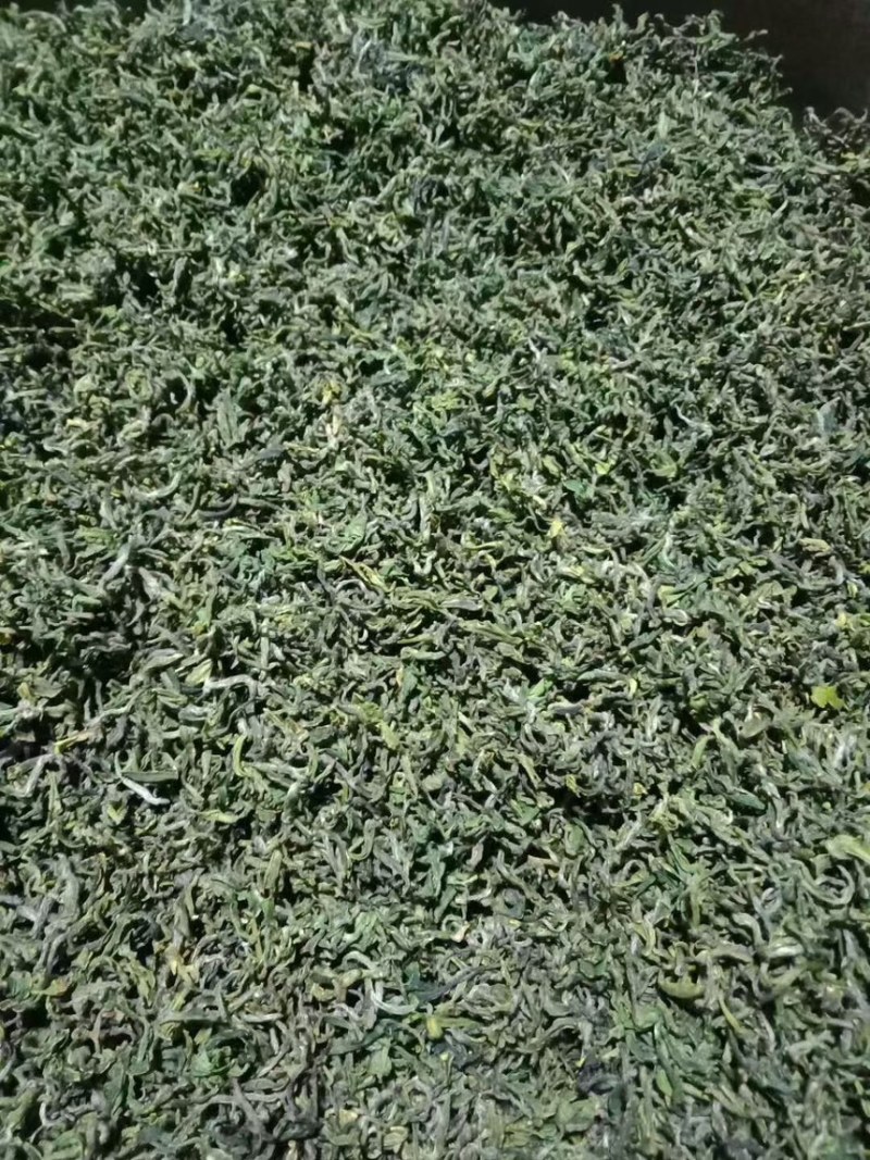 纯正日照绿茶欢迎来品尝只要您有量价优惠