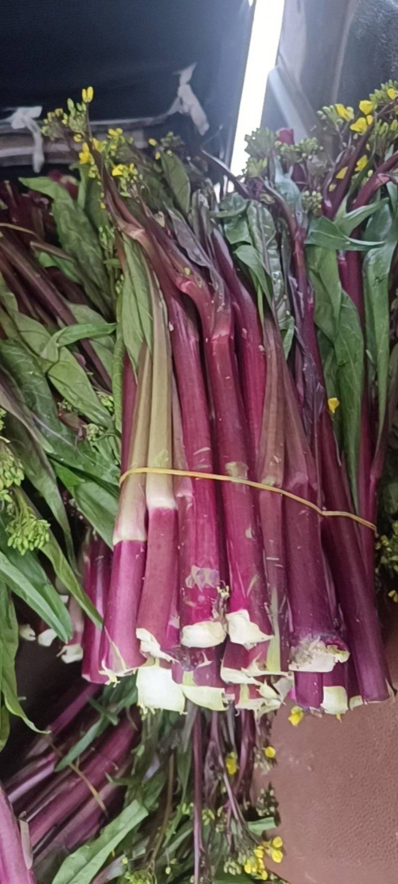 湖北特产红菜苔打霜菜苔鲜嫩菜苔整车配货生鲜物流发货