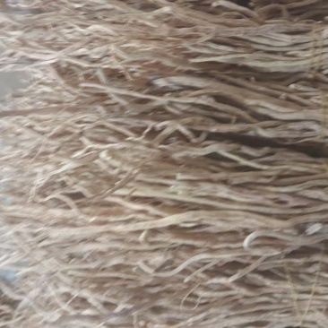 防风