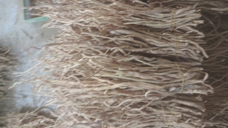 防风