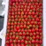 电白千禧圣女果，皇冠，青甜，甜度高口感好，产地直供