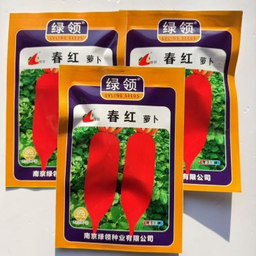 绿领春红萝卜种子中早熟高产抗病短圆筒形不易糠心萝卜种子