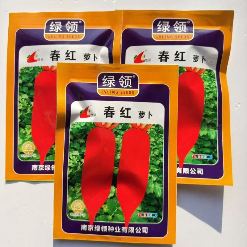 绿领春红萝卜种子中早熟高产抗病短圆筒形不易糠心萝卜种子