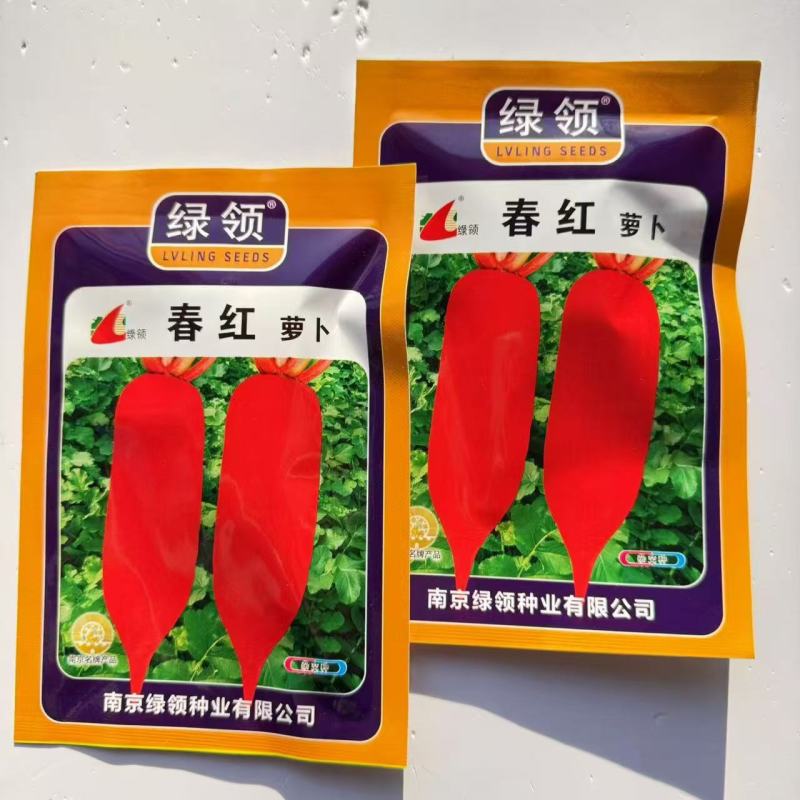 绿领春红萝卜种子中早熟高产抗病短圆筒形不易糠心萝卜种子