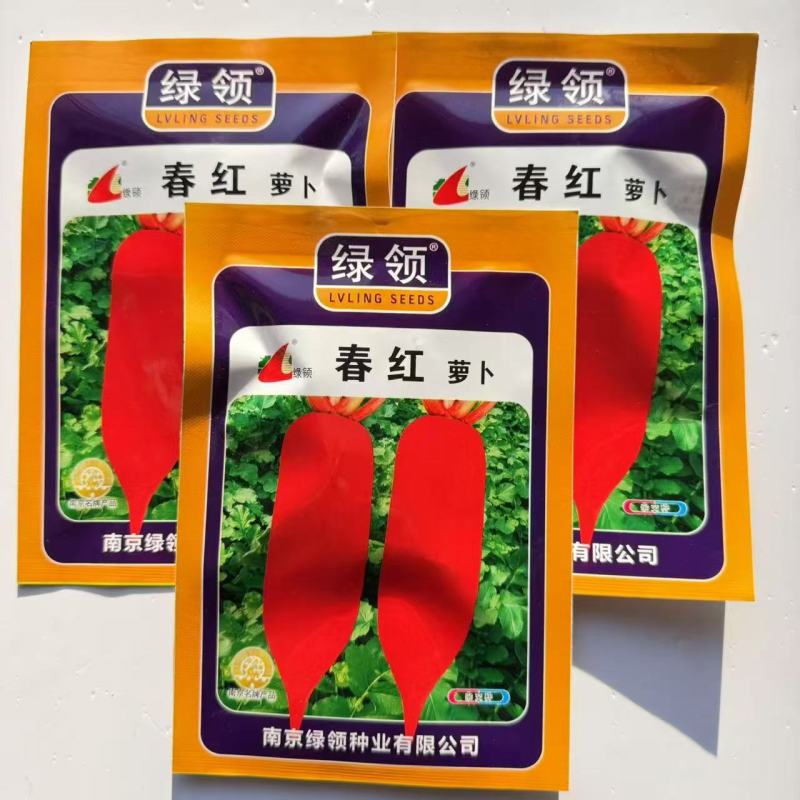 绿领春红萝卜种子中早熟高产抗病短圆筒形不易糠心萝卜种子