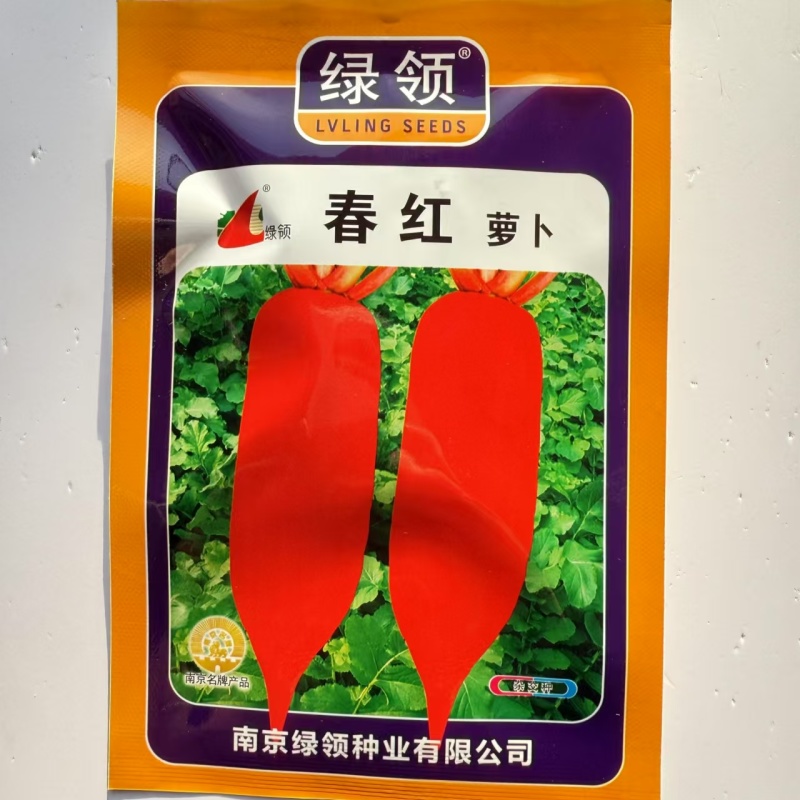 绿领春红萝卜种子中早熟高产抗病短圆筒形不易糠心萝卜种子