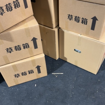 淡雪草莓