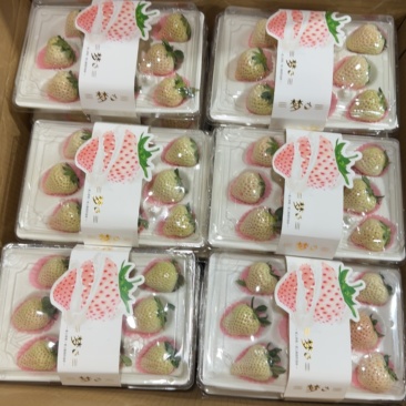 淡雪草莓