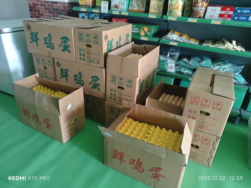 新鲜鸡蛋批发丽江同城自提