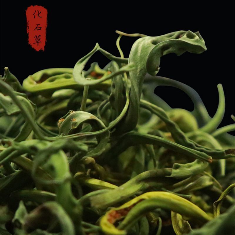 正宗东北野生肾精草大叶批发