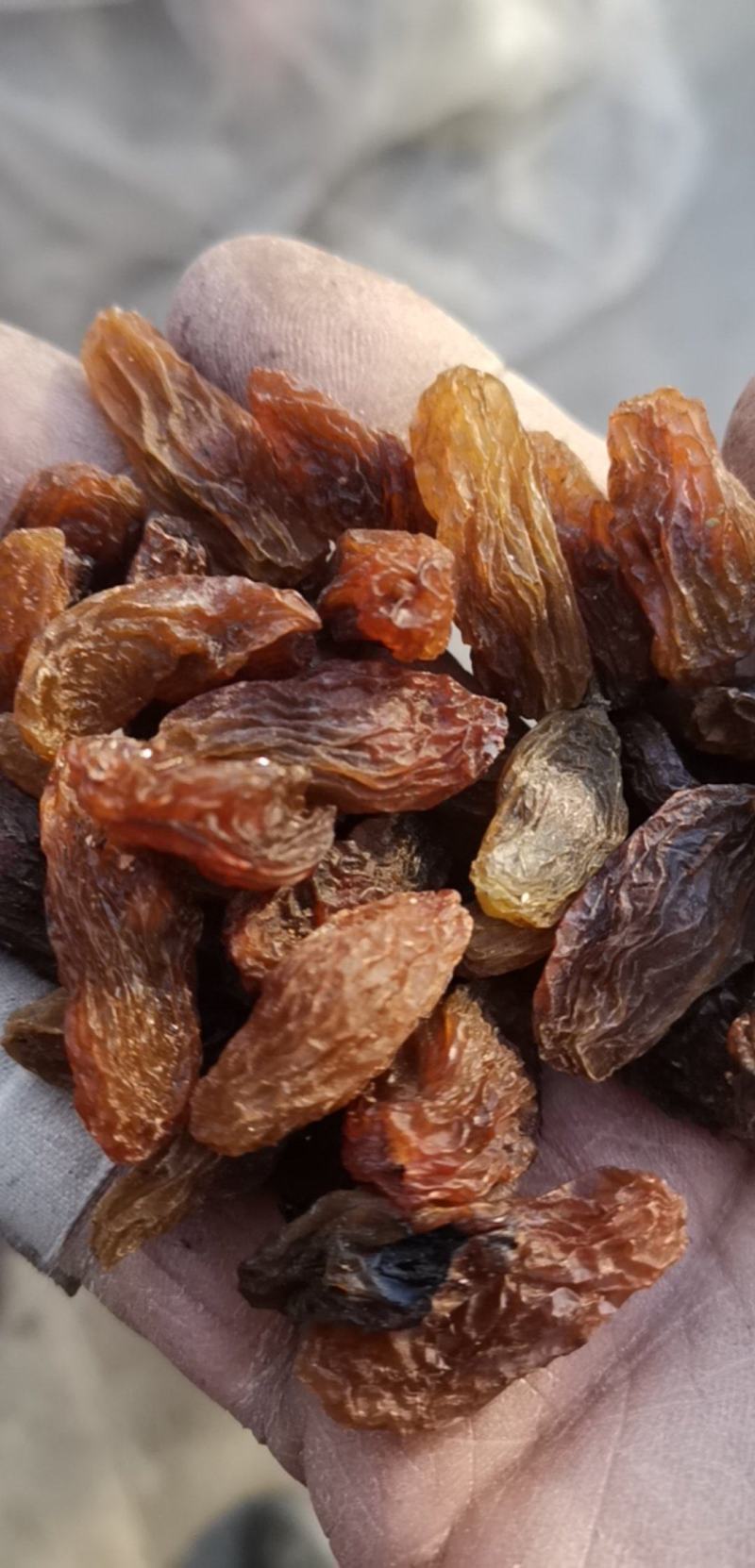 吐鲁番特产，马奶子葡萄干，果香核脆营养丰富