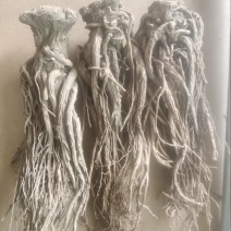 （实）甘肃岷县热卖当归产地直发，可视频看货
