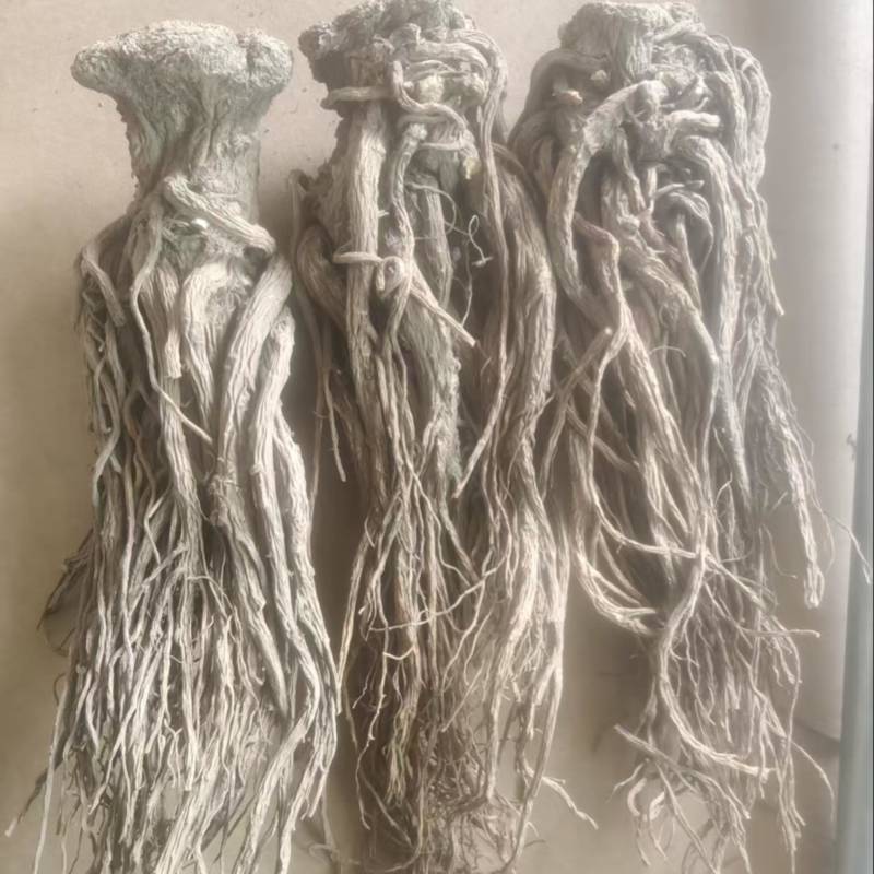 （实）甘肃岷县热卖当归产地直发，可视频看货