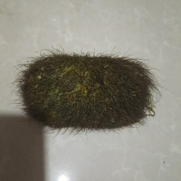 我有个猪宝想卖。