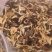 野生桂花菌