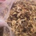 野生桂花菌